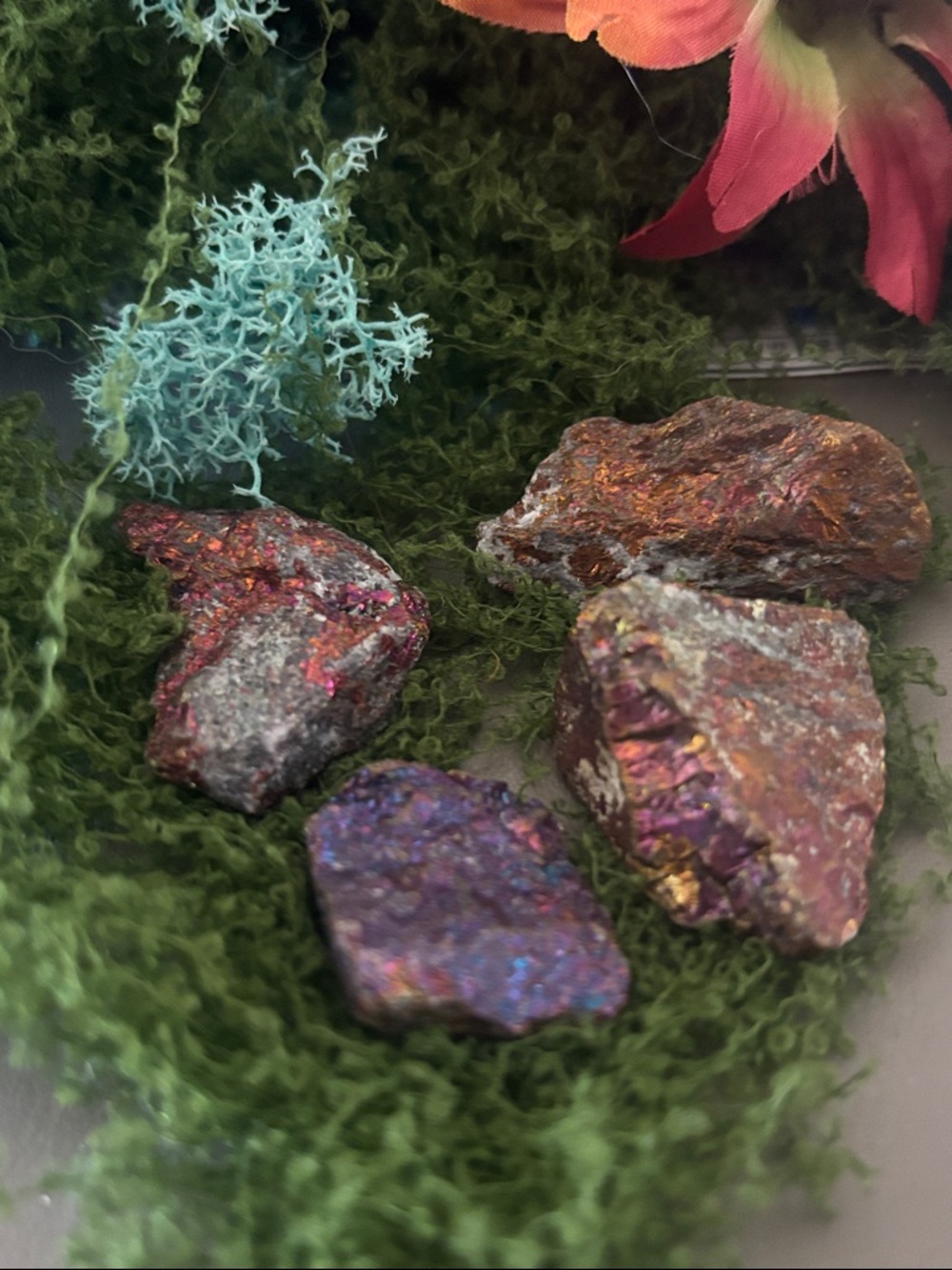 Peacock Ore- Chalcopyrite Raw Stones -